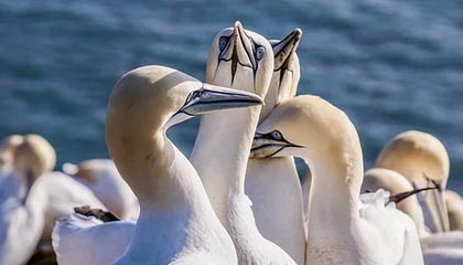 开云，让云端成为生活的友人